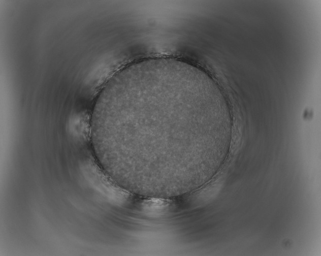 X0000115290672200911161635