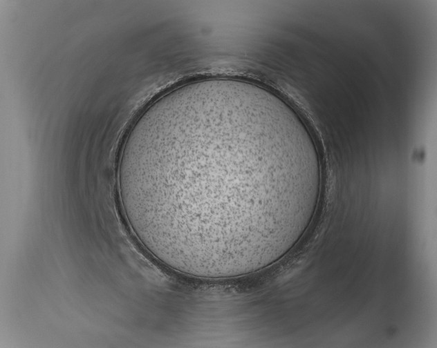 X0000115290673200911161635