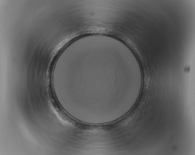 X0000115290674200911161635