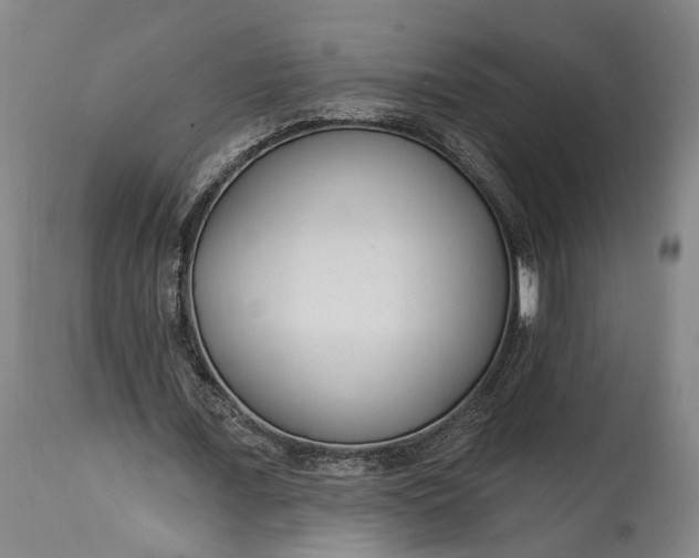X0000115290675200911161635