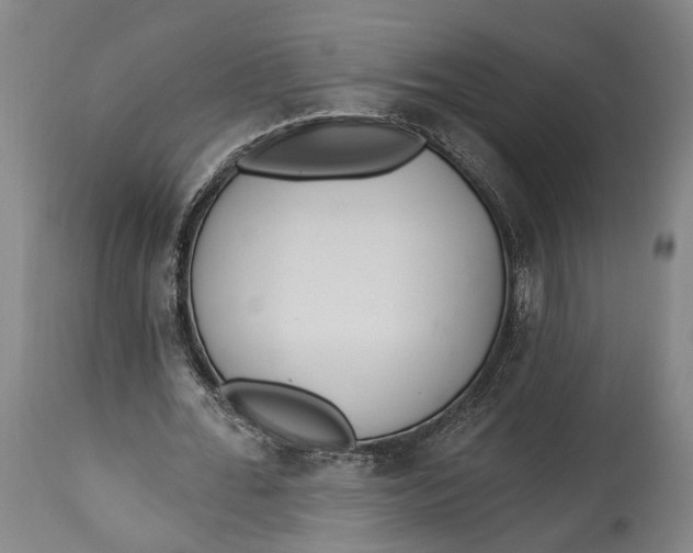 X0000115290676200911161635