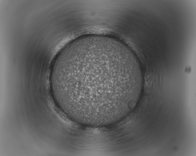 X0000115290679200911161634
