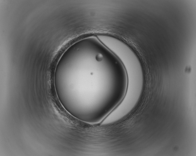 X0000115290684200911161634