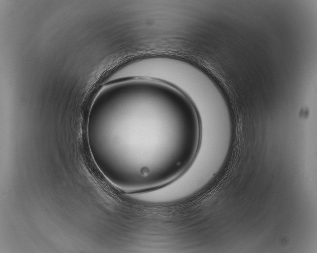X0000115290685200911161634