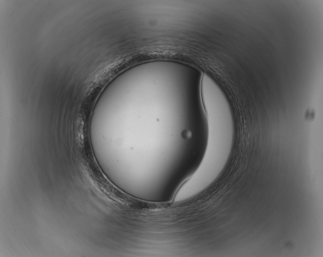 X0000115290692200911161634