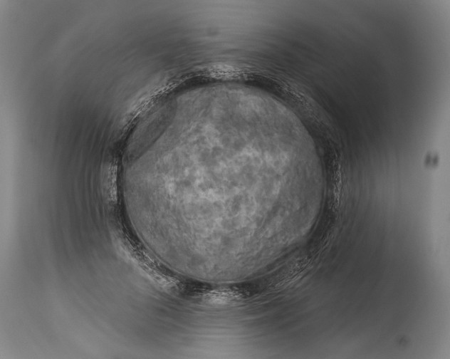X0000115290696200911161634