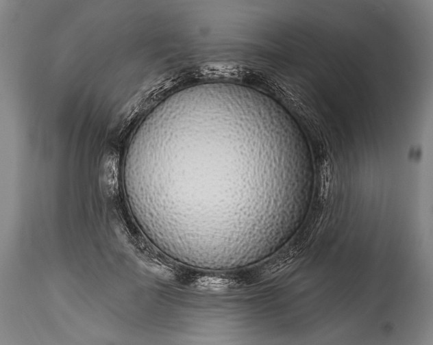 X0000115290699200911161634