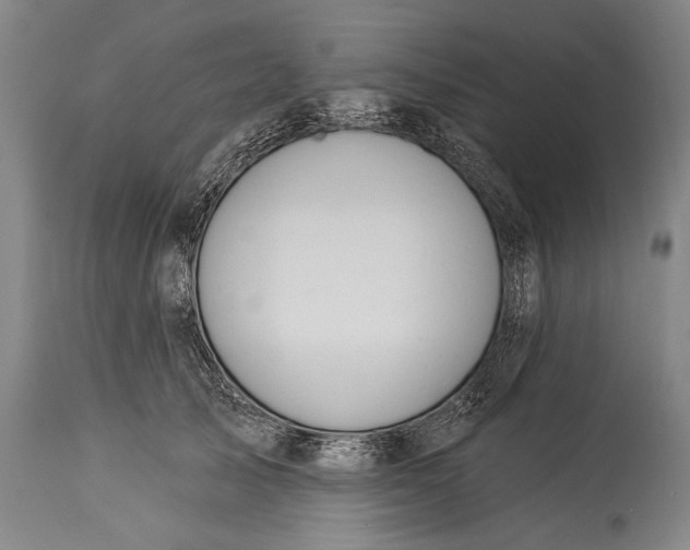 X0000115290705200911161634