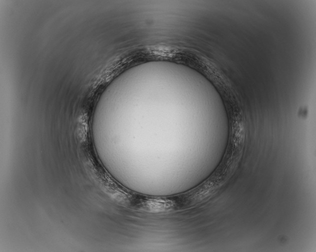 X0000115290707200911161634