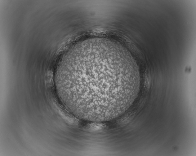 X0000115290711200911161634