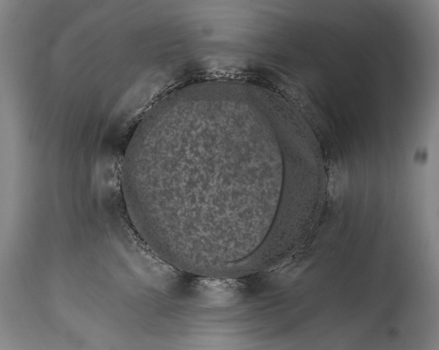 X0000115290712200911161634