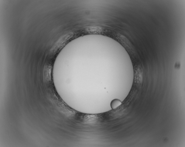 X0000115290717200911161634