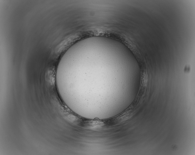 X0000115290719200911161634