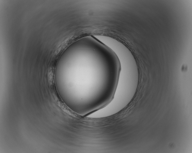 X0000115290720200911161634