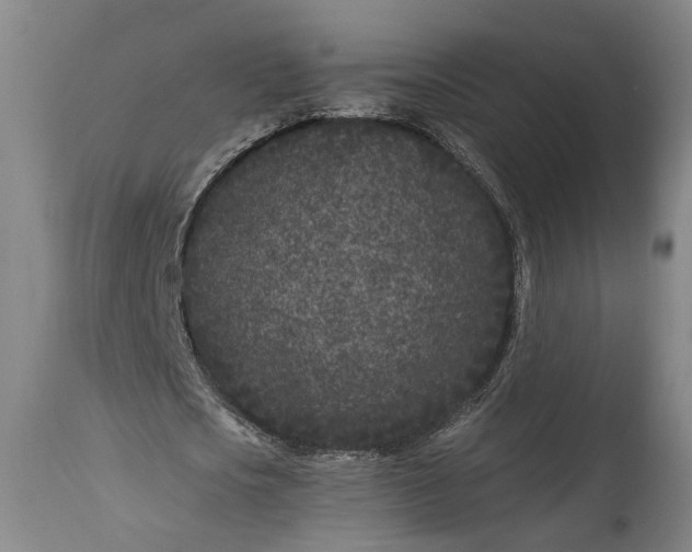 X0000115290721200911161633