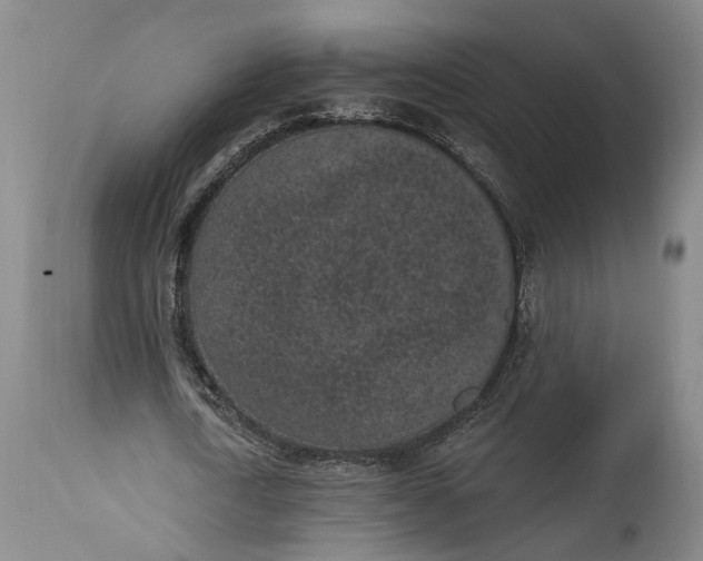 X0000115290722200911161633