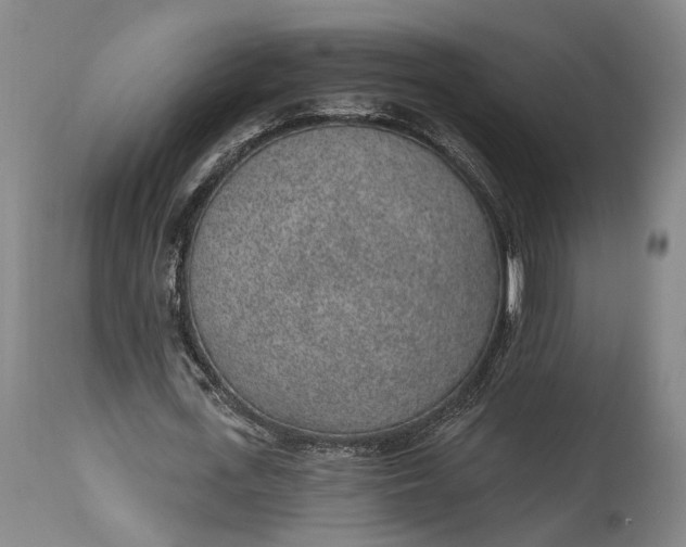 X0000115290723200911161633