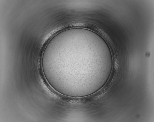 X0000115290725200911161633