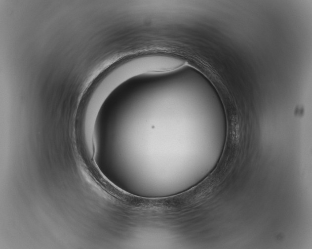 X0000115290726200911161633