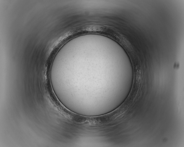 X0000115290727200911161633