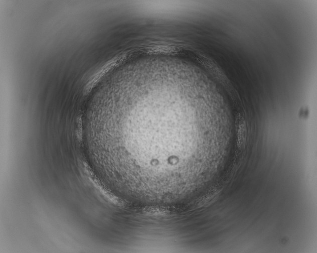 X0000115290729200911161633