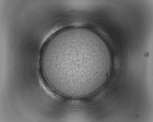 X0000115290730200911161633