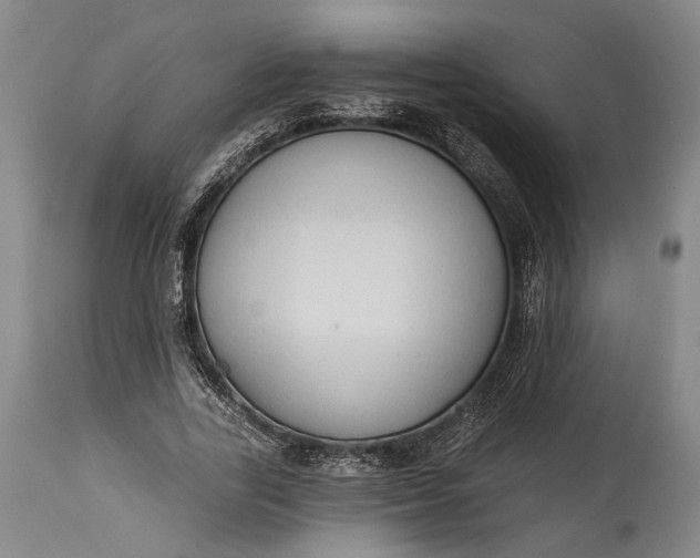 X0000115290731200911161633