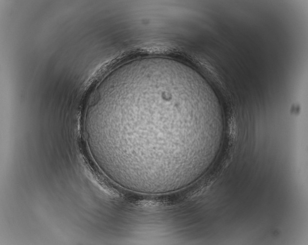 X0000115290733200911161633