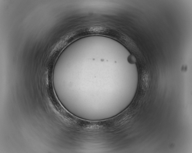 X0000115290734200911161633