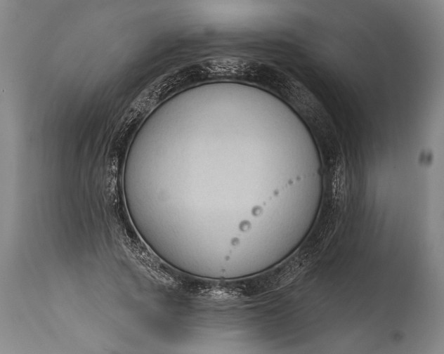 X0000115290737200911161633