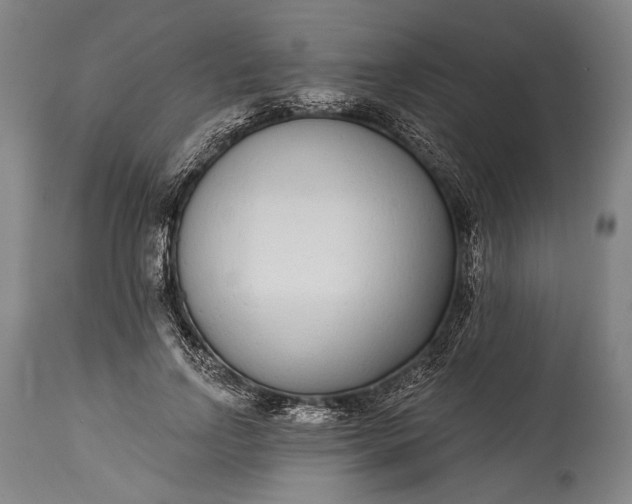 X0000115290742200911161633
