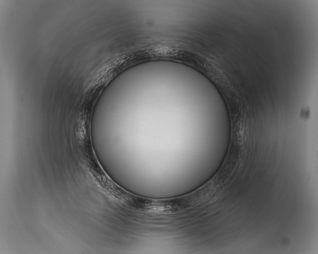 X0000115290746200911161633
