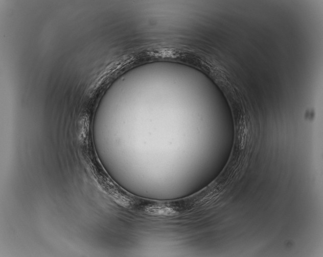 X0000115290747200911161633