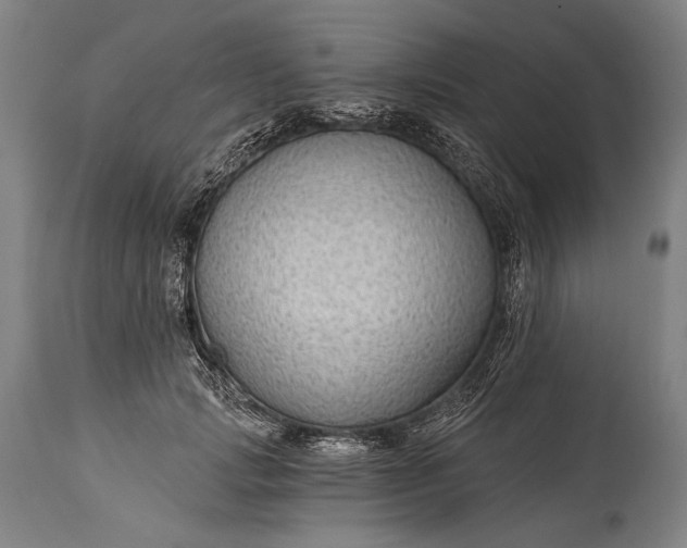 X0000115290749200911161633