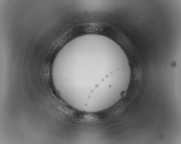X0000115290753200911161633
