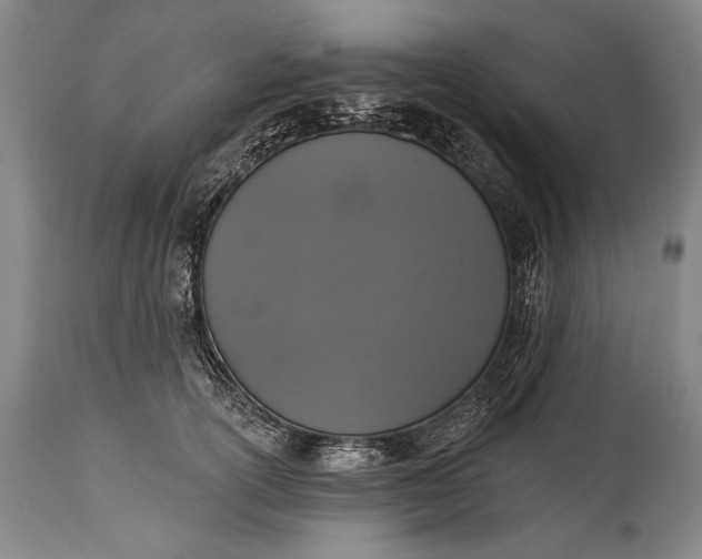X0000115290754200911161634