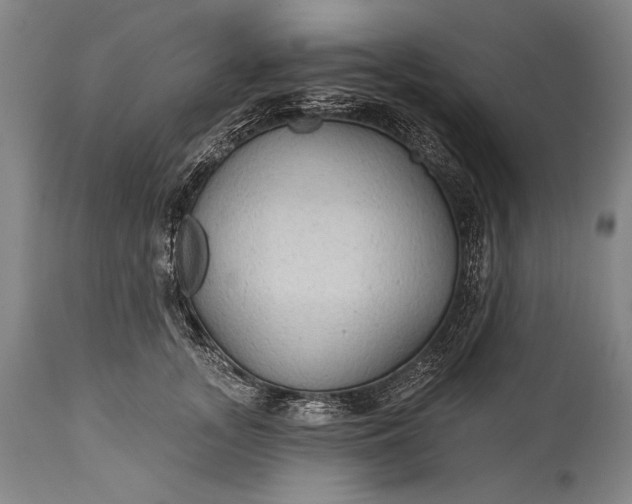 X0000115290755200911161634