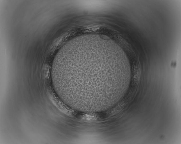 X0000115290758200911161634