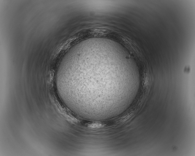 X0000115290759200911161634