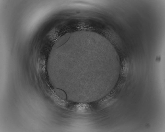 X0000115290762200911161634