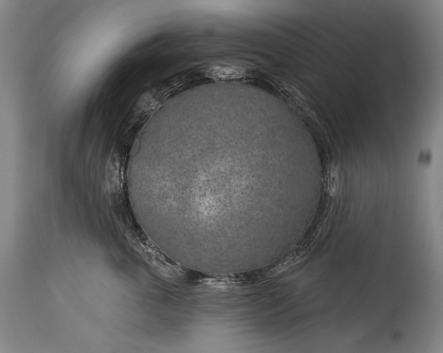 X0000115290763200911161634