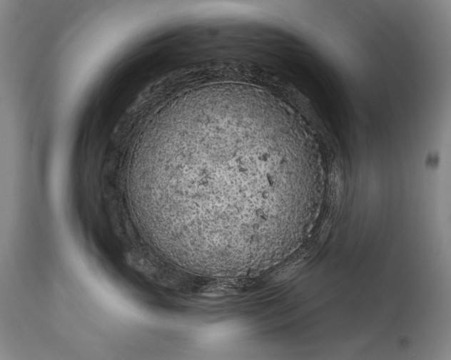 X0000115290765200911161634