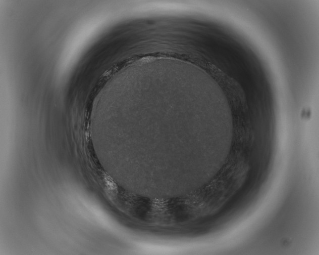 X0000115290766200911161634