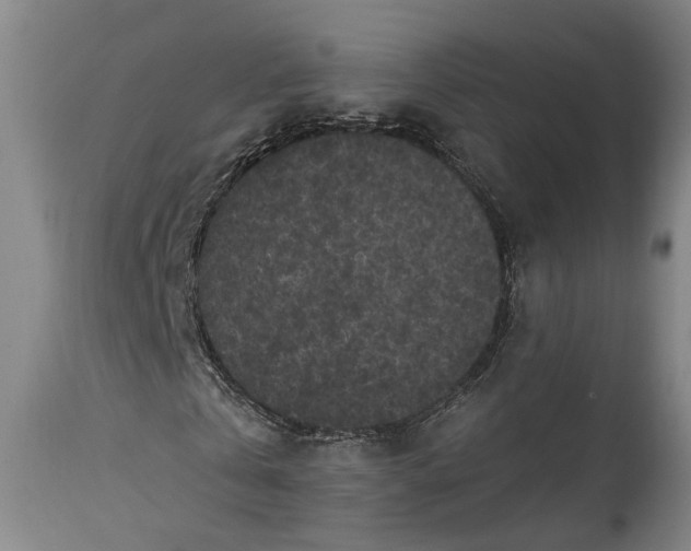 X0000115290769200911161633