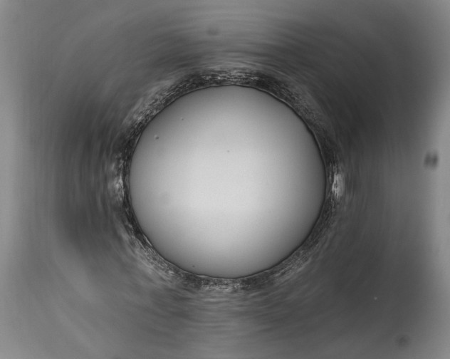 X0000115290771200911161633