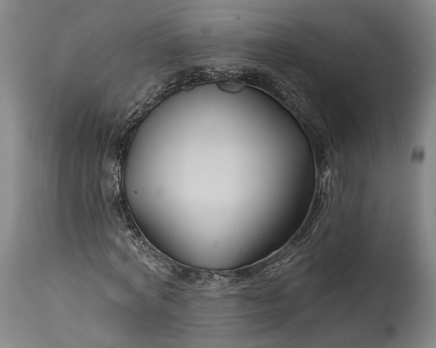 X0000115290772200911161633
