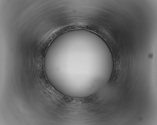 X0000115290773200911161633