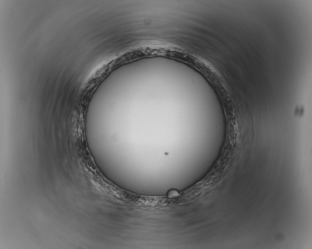 X0000115290775200911161633