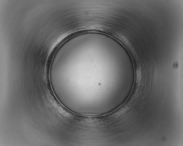 X0000115290780200911161633