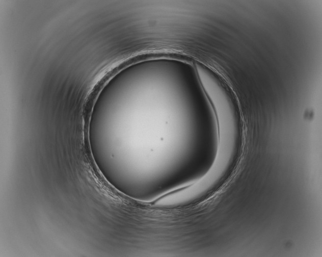 X0000115290781200911161633